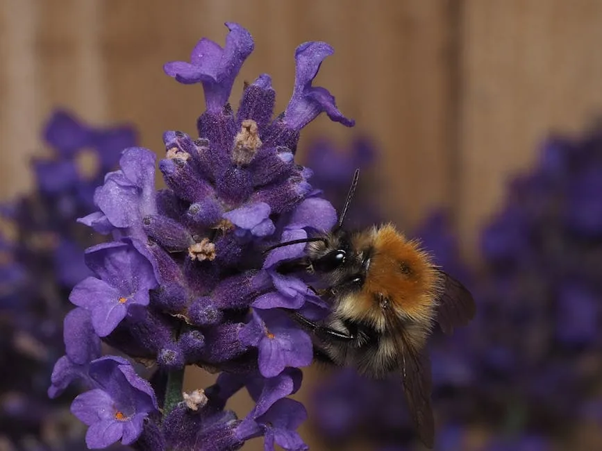 Aménager un jardin durable et élégant