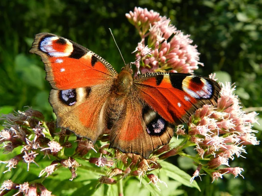 Aménager un jardin durable et écologique
