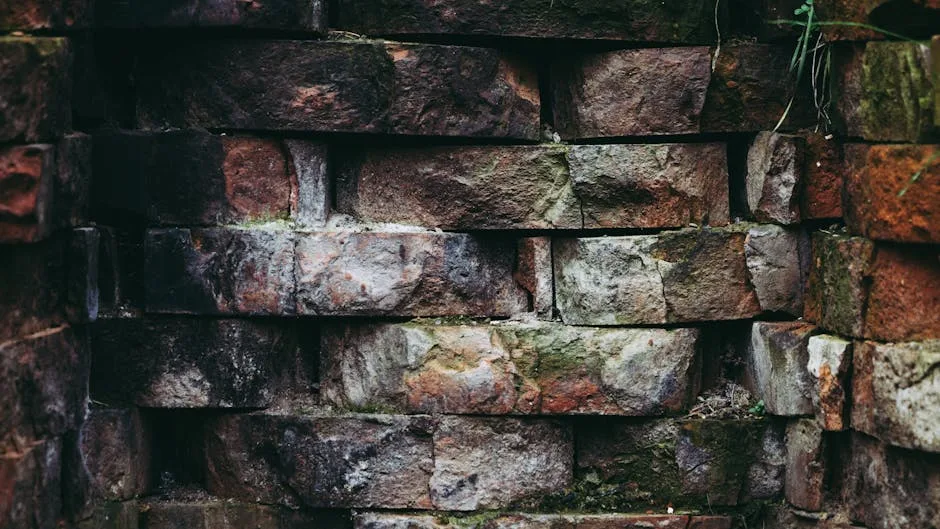 Travaux Durables : Construire en Harmonie avec la Nature
