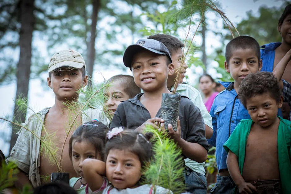 Domotique et développement durable : l’avenir se dessine