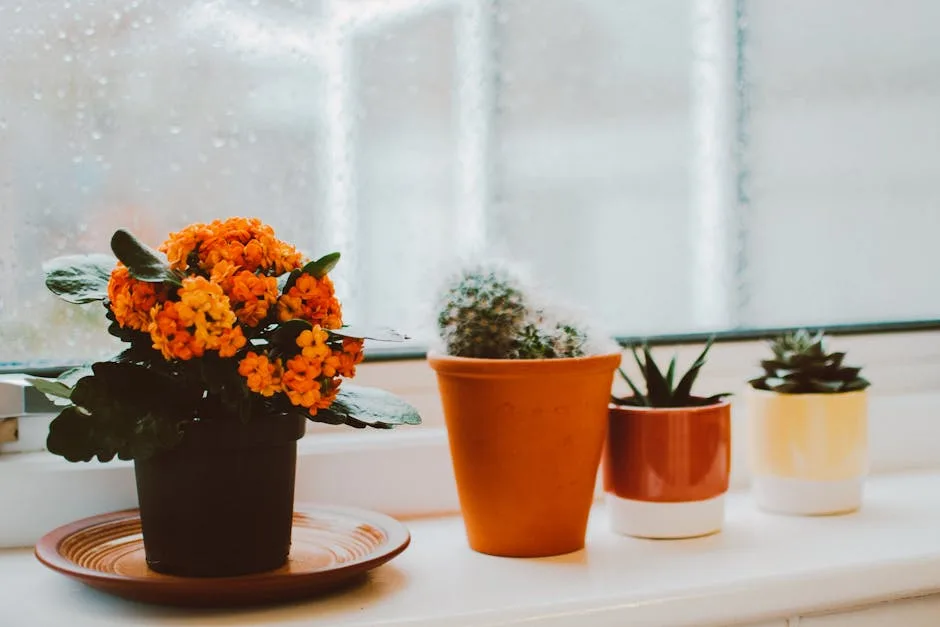 Transformez votre maison avec la nature