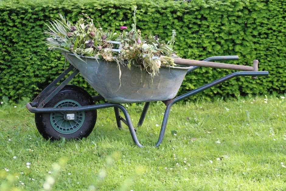 Conseils pratiques pour un jardin durable