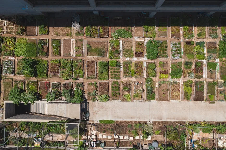 Aménager un jardin écologique et esthétique