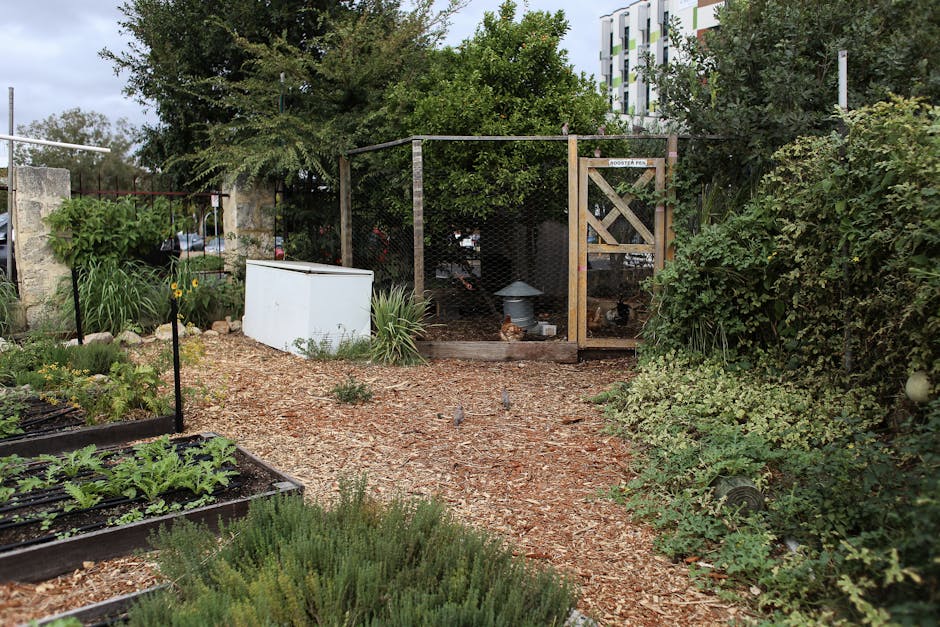 Jardinage durable : conseils pour un espace vert sain