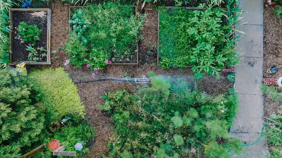 Aménager un jardin éco-responsable et esthétique
