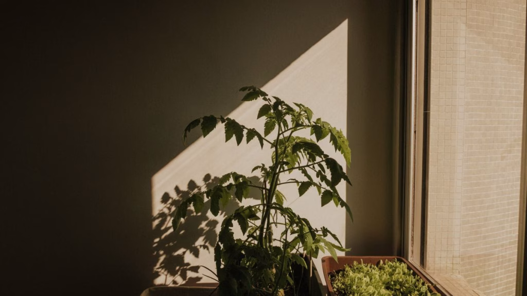 Créer un potager vertical maison en 2026 : guide complet