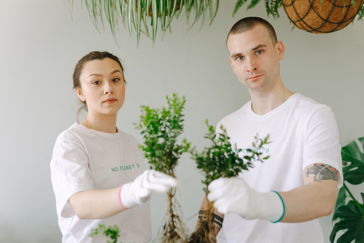 Créer un espace de vie durable : intégration des plantes et éco-textiles