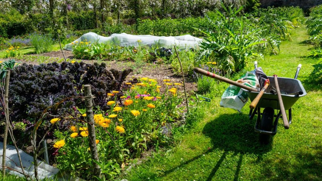 Aménager un jardin en permaculture : guide pratique 2026